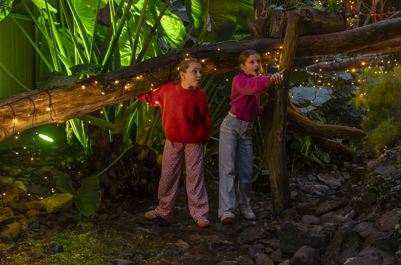 Ervaar het dag- en avondleven tijdens Night of the Jungle in pantropica
