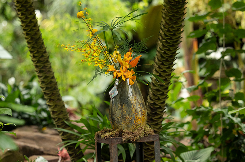 Expositie Gifts of nature