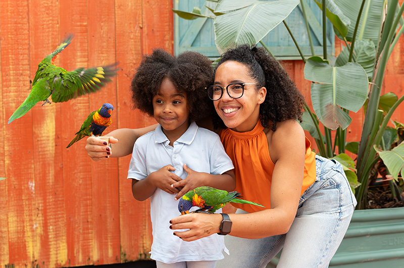 Herinnering lori's voeren in Pantropica