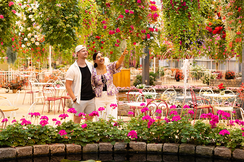 Herinnering lunchen in het Hanami Flowerpark